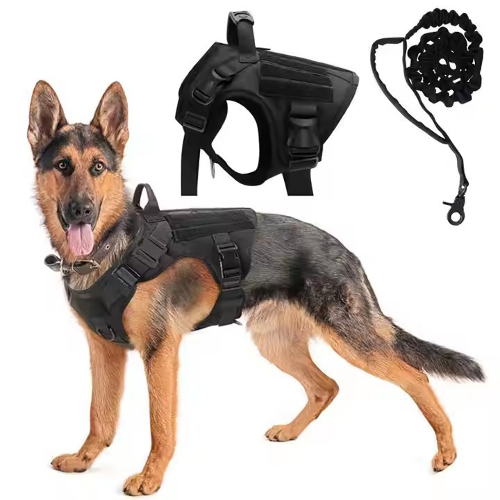 Bärbar taktisk ryggsäck för hund